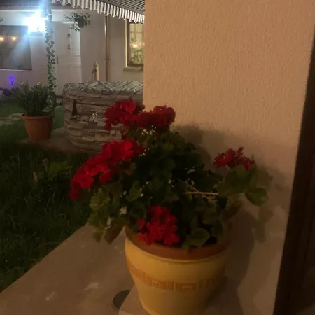 Apartment Lola