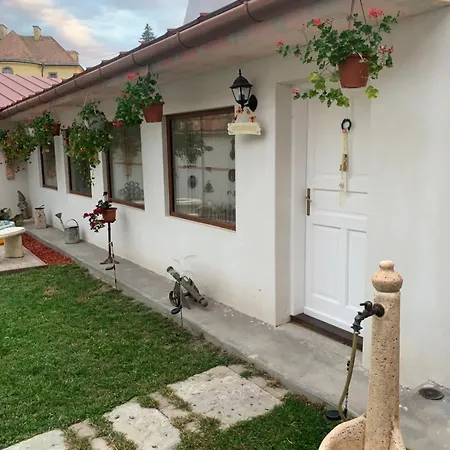Lola Apartment